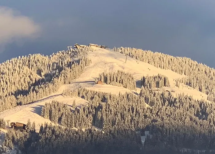 Appartementhaus Schubert