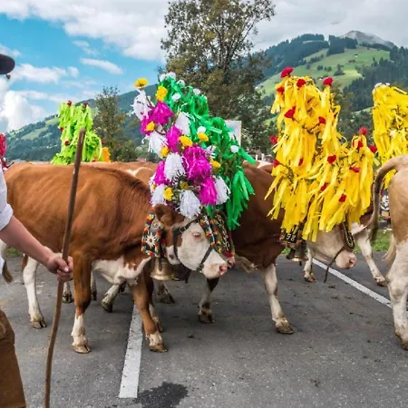 Apartment Appartementhaus Schubert *